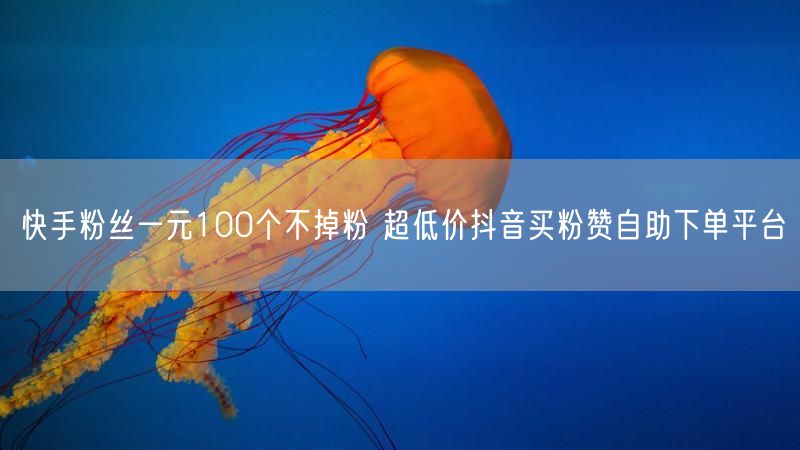 快手粉丝一元100个不掉粉 超低价抖音买粉赞自助下单平台