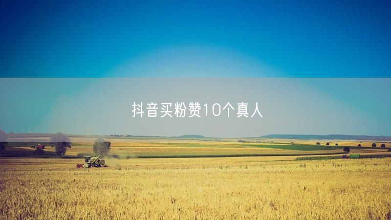 抖音买粉赞10个真人