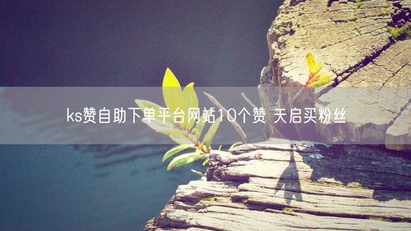 ks赞自助下单平台网站10个赞 天启买粉丝