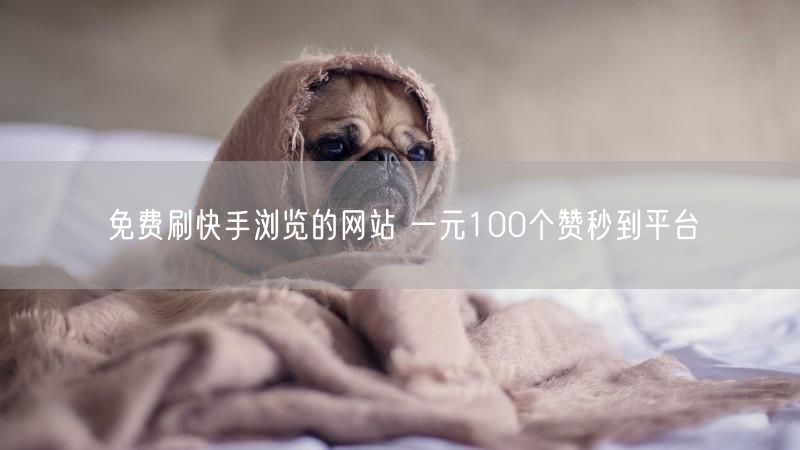 免费刷快手浏览的网站 一元100个赞秒到平台