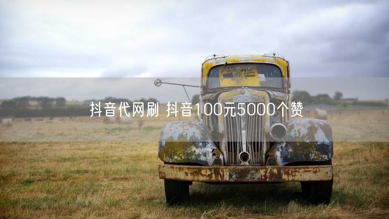 抖音代网刷 抖音100元5000个赞