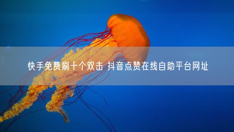 快手免费刷十个双击 抖音点赞在线自助平台网址