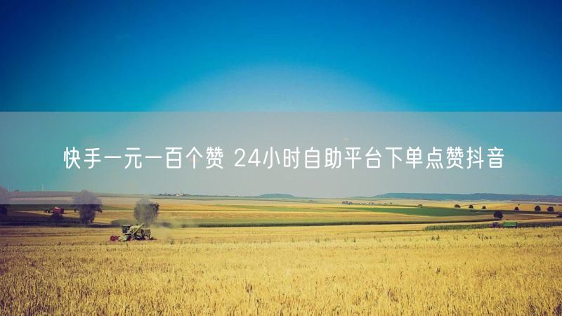 快手一元一百个赞 24小时自助平台下单点赞抖音