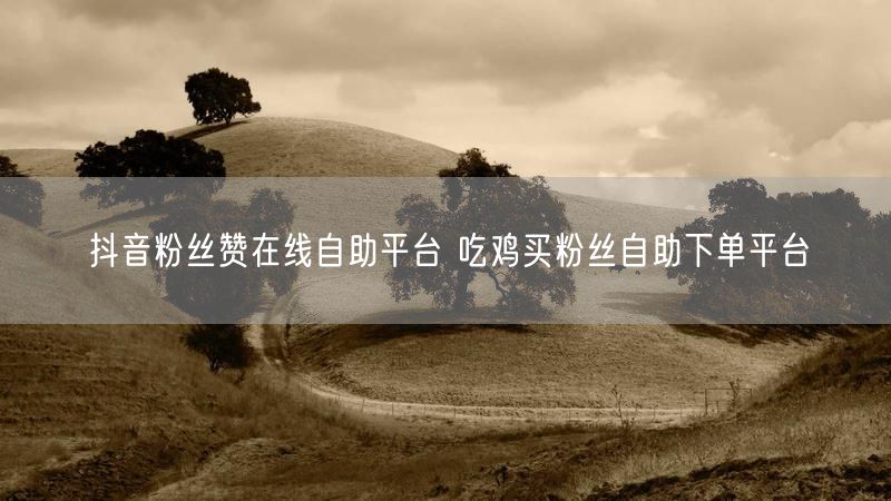 抖音粉丝赞在线自助平台 吃鸡买粉丝自助下单平台