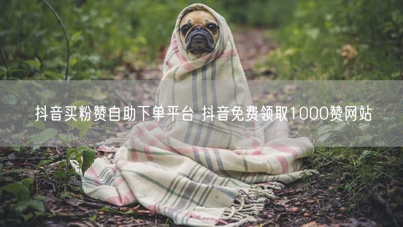 抖音买粉赞自助下单平台 抖音免费领取1000赞网站