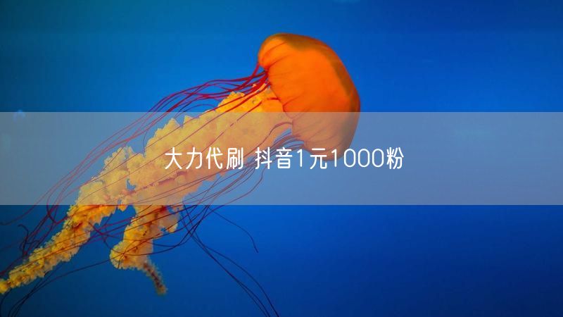 大力代刷 抖音1元1000粉