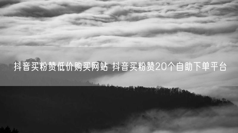 抖音买粉赞低价购买网站 抖音买粉赞20个自助下单平台