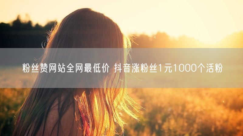 粉丝赞网站全网最低价 抖音涨粉丝1元1000个活粉