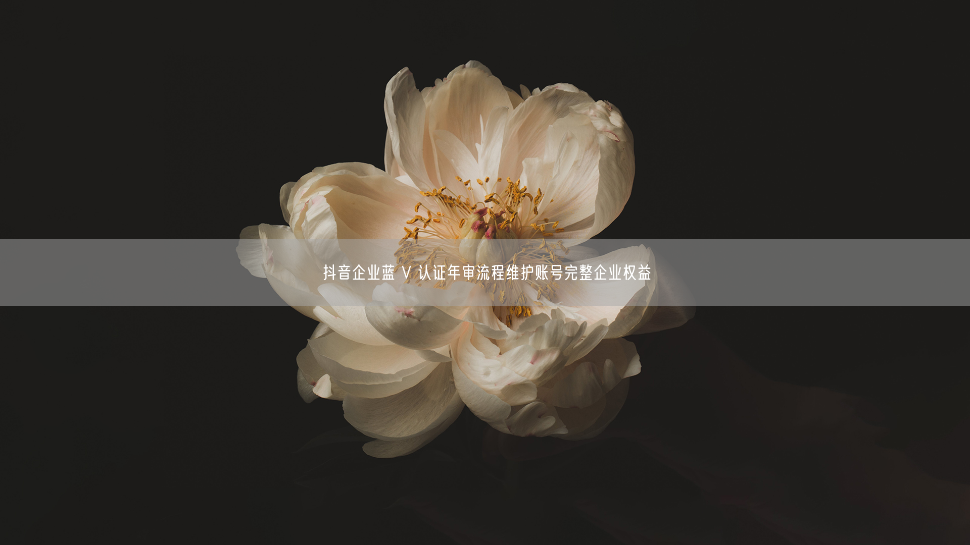 抖音企业蓝 V 认证年审流程维护账号完整企业权益