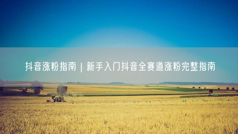 新手入门必看！抖音全赛道涨粉运营技巧大揭秘