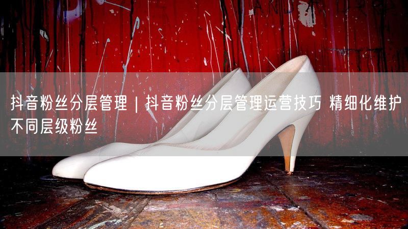 抖音粉丝分层管理｜抖音粉丝分层管理运营技巧 精细化维护不同层级粉丝